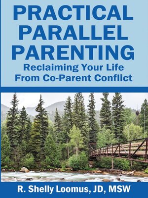 cover image of Practical Parallel Parenting